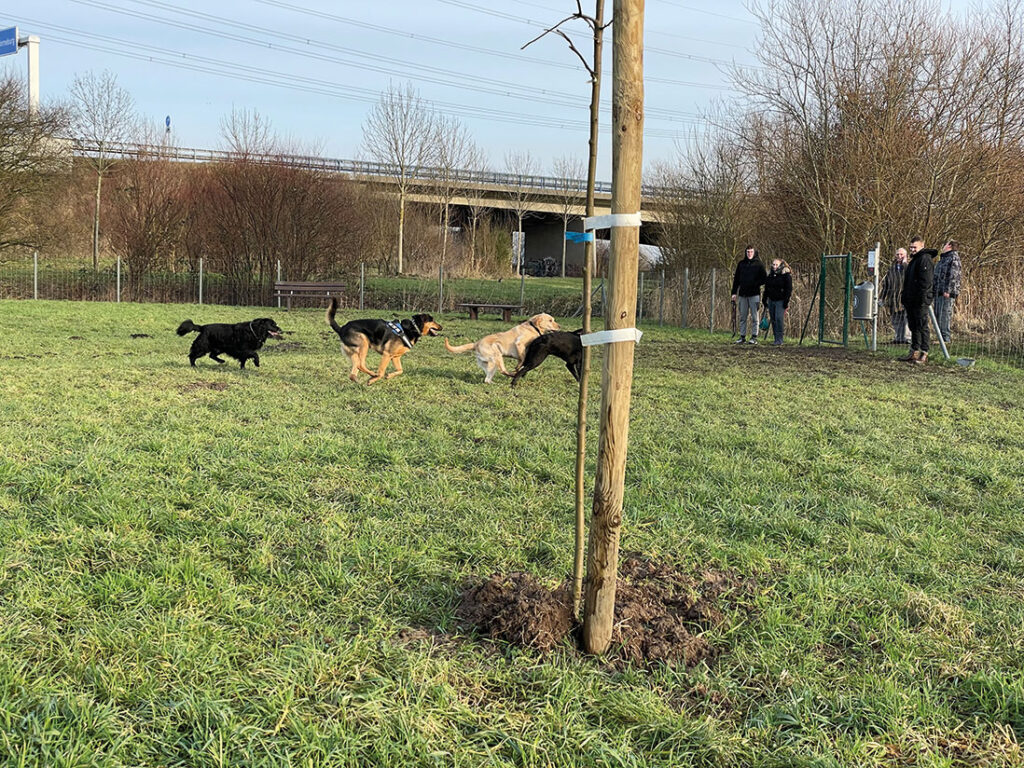 Hundewiese im Flecken Horneburg eröffnet
