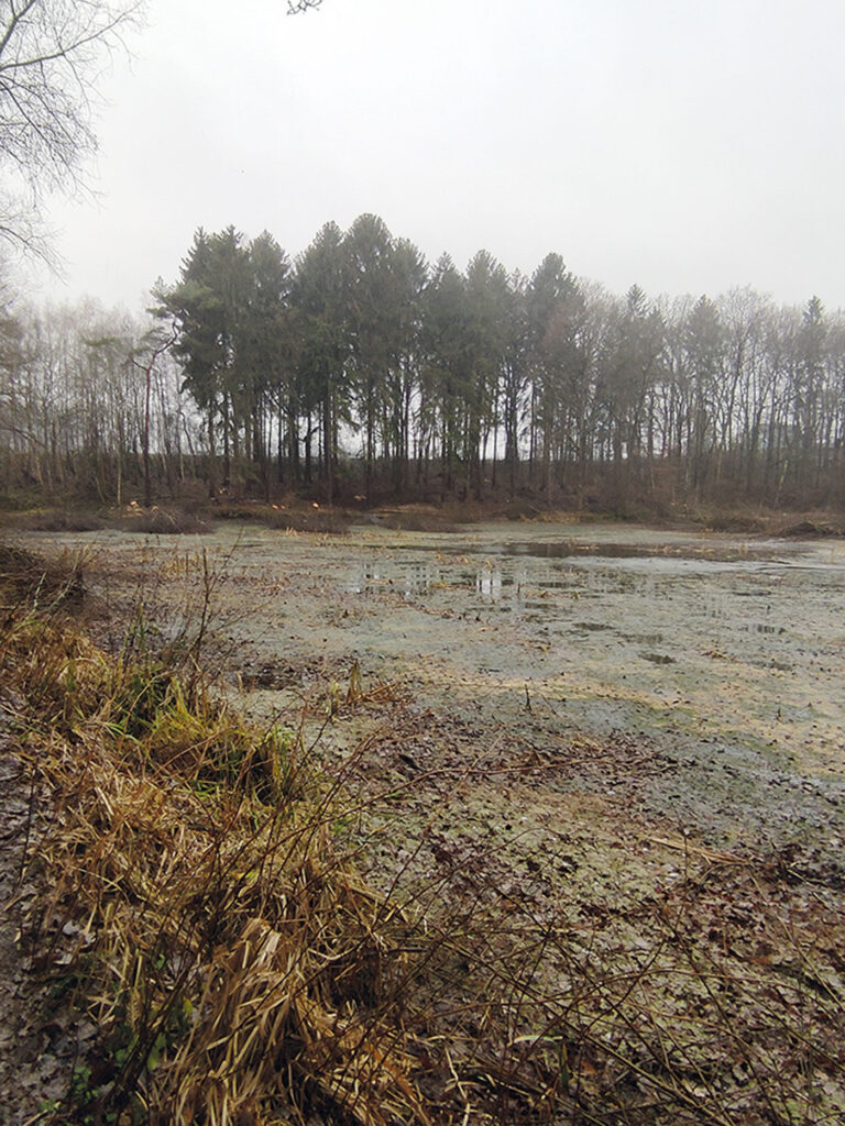 Unser neuer Teich in Issendorf